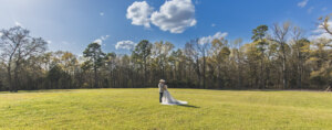Bride and Groom in a field 